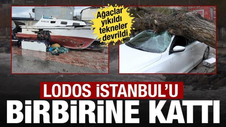 İstanbul’da Lodos Fırtınası: Ağaçlar Devrildi, Tekne ve Vapur Seferleri Etkilendi